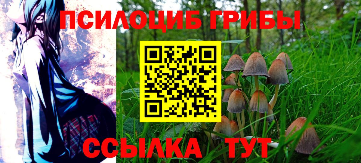 закладки  Галлюциногенные грибы GOLDEN TEACHER  Вход с VPN  Сланцы 